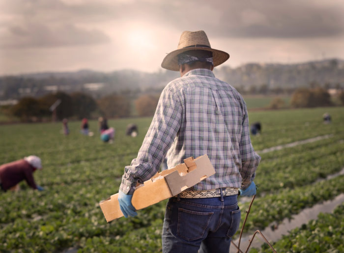 Florida undocumented immigrant worker