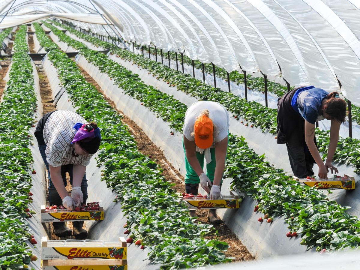 summer seasonal staff eligible for workers comp